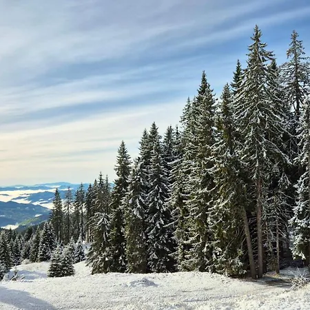 Lägenhet Tulip Deluxe, Grand Pamporovo
